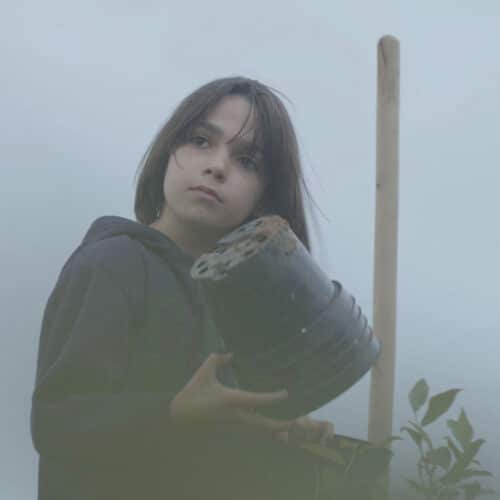 capture du documentaire Blueberry dreams